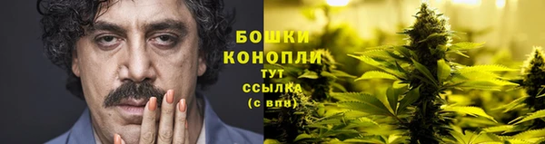 метадон Белокуриха